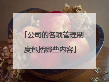 公司的各项管理制度包括哪些内容