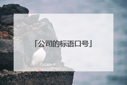 公司的标语口号