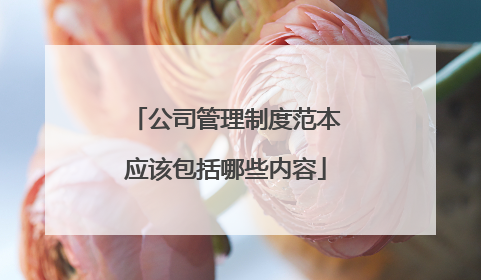 公司管理制度范本应该包括哪些内容
