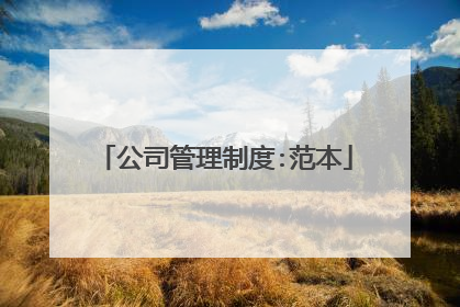 公司管理制度:范本