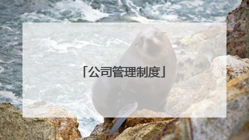公司管理制度