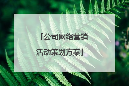 公司网络营销活动策划方案