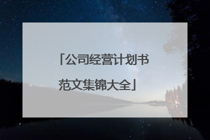 公司经营计划书范文集锦大全