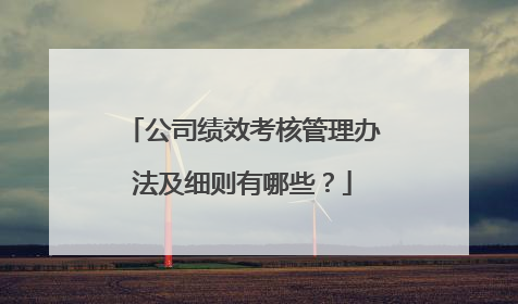 公司绩效考核管理办法及细则有哪些?