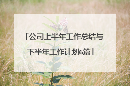 公司上半年工作总结与下半年工作计划6篇