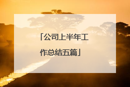 公司上半年工作总结五篇