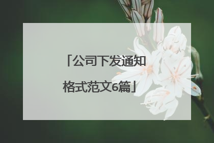 公司下发通知格式范文6篇