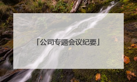 公司专题会议纪要