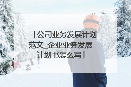 公司业务发展计划范文_企业业务发展计划书怎么写