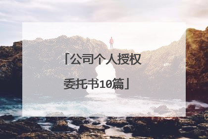 公司个人授权委托书10篇