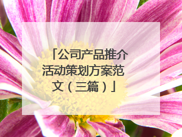 公司产品推介活动策划方案范文（三篇）