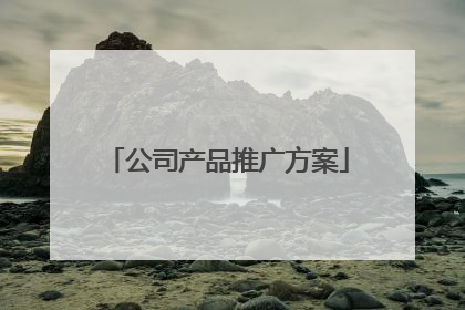 公司产品推广方案