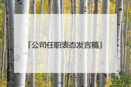 公司任职表态发言稿