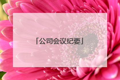 公司会议纪要