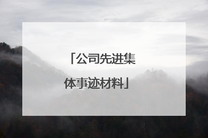 公司先进集体事迹材料
