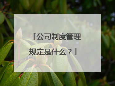 公司制度管理规定是什么？