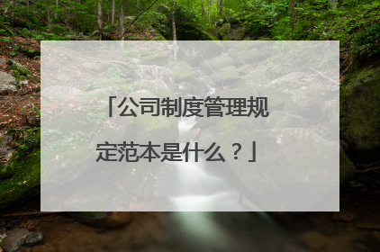 公司制度管理规定范本是什么?