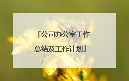 公司办公室工作总结及工作计划