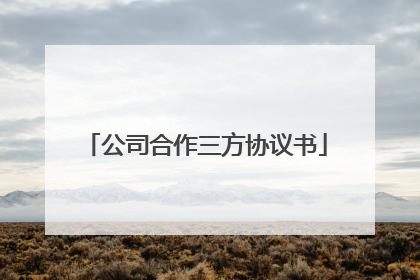公司合作三方协议书