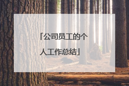 公司员工的个人工作总结