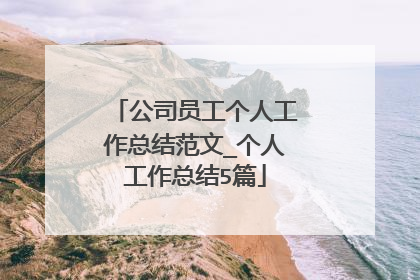 公司员工个人工作总结范文_个人工作总结5篇