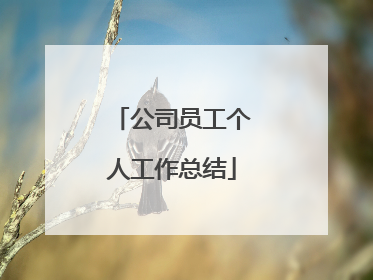 公司员工个人工作总结