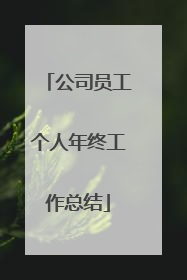 公司员工个人年终工作总结