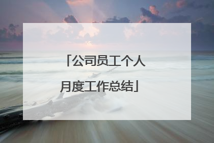 公司员工个人月度工作总结