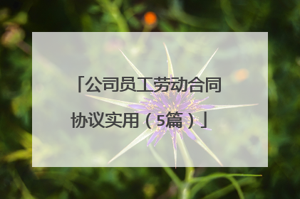 公司员工劳动合同协议实用(5篇)