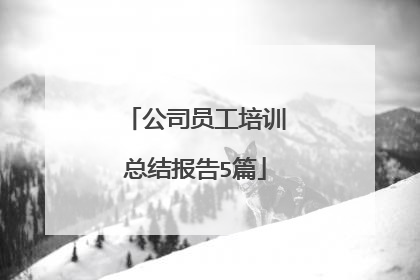 公司员工培训总结报告5篇