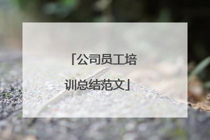 公司员工培训总结范文