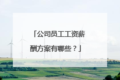 公司员工工资薪酬方案有哪些？