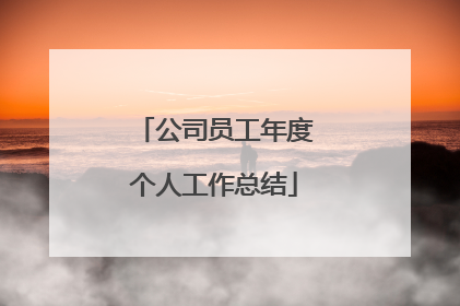 公司员工年度个人工作总结
