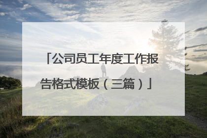 公司员工年度工作报告格式模板（三篇）