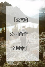 公司和公司合作企划案