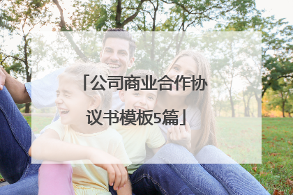公司商业合作协议书模板5篇