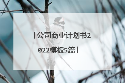 公司商业计划书2022模板5篇