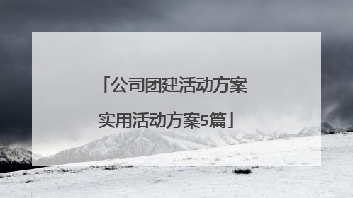 公司团建活动方案实用活动方案5篇