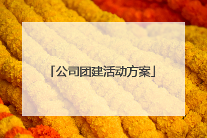 公司团建活动方案