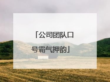 公司团队口号霸气押韵