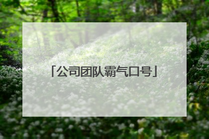 公司团队霸气口号