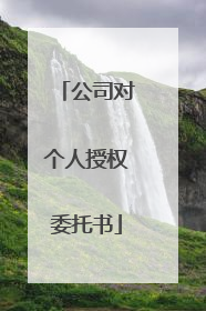 公司对个人授权委托书