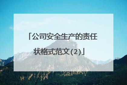 公司安全生产的责任状格式范文(2)