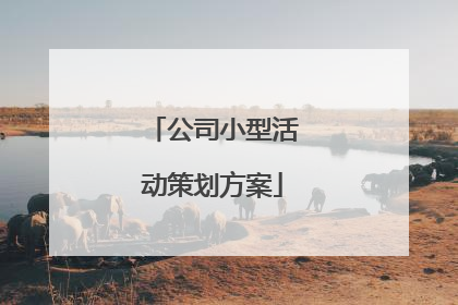 公司小型活动策划方案