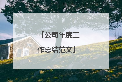 公司年度工作总结范文