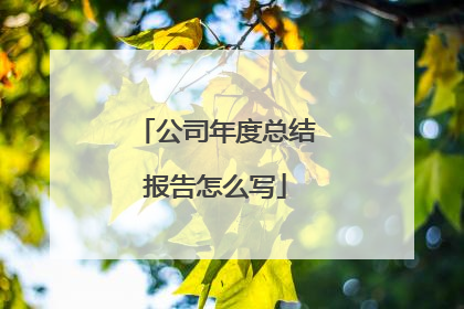 公司年度总结报告怎么写