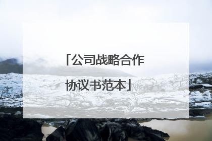 公司战略合作协议书范本