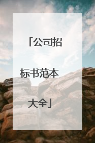 公司招标书范本大全