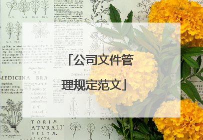 公司文件管理规定范文
