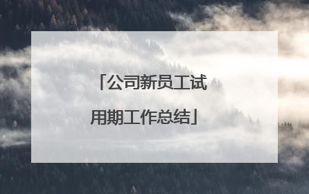 公司新员工试用期工作总结